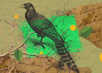 Kukulcze Adolf Dygasinski I Wielka literatura w cyfrowym świecie