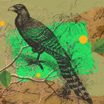 Kukulcze Adolf Dygasinski I Wielka literatura w cyfrowym świecie