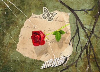 Milosc bez gniazd Adolf Dygasinski I Wielka literatura w cyfrowym świecie