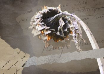 Henryk Sienkiewicz - U źródła